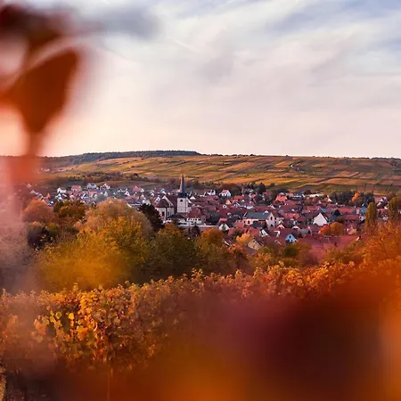Ninichou Ribeauville (Haut-Rhin)