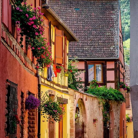 Ninichou Apartment Ribeauville (Haut-Rhin)